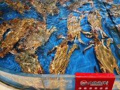 -北塘海鲜·天津菜·鲅鱼水饺是一绝(大光明桥旗舰店)