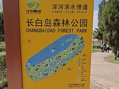 -长白岛森林公园