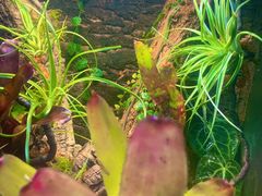 -Rabbit Cafe私房西餐甜点咖啡(栖霞路店)