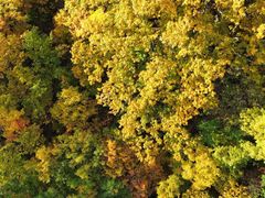 -牛背梁国家森林公园