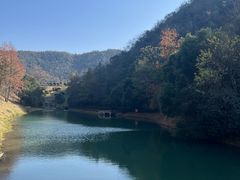 -桃花岭景区