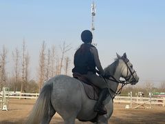 -北京群众马术培训基地