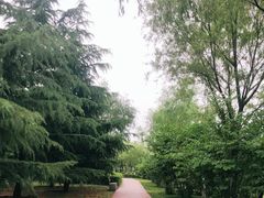 -洨河生态公园