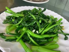 -七鲜渔港美食餐厅(巽寮湾海景店)
