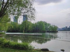 -天鹅湖体育公园