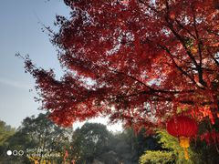 -穹窿山景区