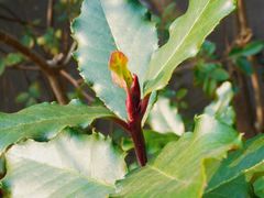 -宁波市保国寺古建筑博物馆