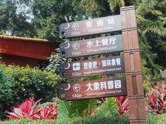 -野象谷景区