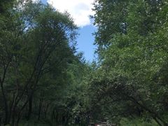 -玉渡山风景区-售票处