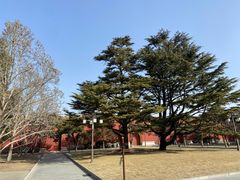 -北京市劳动人民文化宫(太庙)