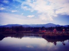 -天适樱花悠乐园