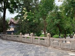 -张掖大佛寺景区