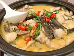 -鲁宴·鲁煨黄河生态大鲤鱼(月坛店)