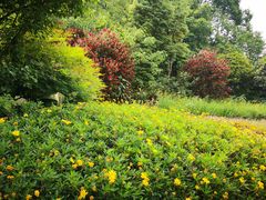 -桤木河湿地公园