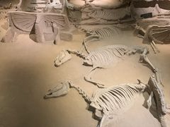 -洛阳周王城天子驾六博物馆