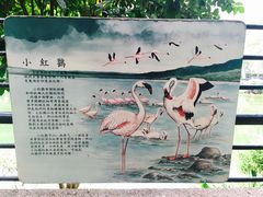 -九龙公园