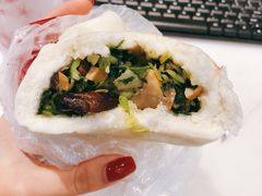 大菜包-白玉兰食品(甜云店)
