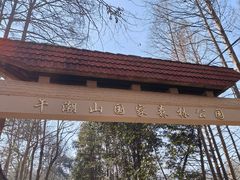 -午潮山国家森林公园