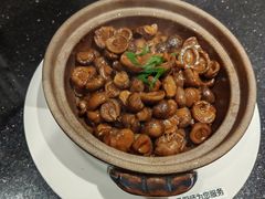 -丹江渔村(望京店)