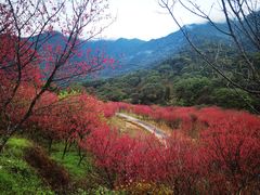 -福清灵石山国家森林公园
