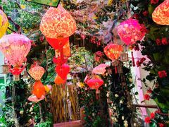 -正佳雨林生态植物园
