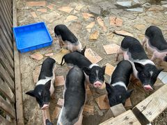 -HERRE·FARM 赫尔露营农场·团建聚会包场