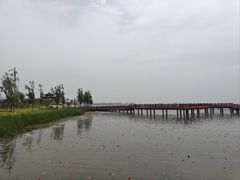 -白洋淀景区