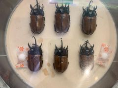 -陕西自然博物馆