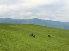 -新疆那拉提国家旅游度假区
