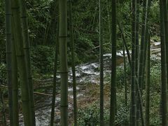 -山沟沟景区