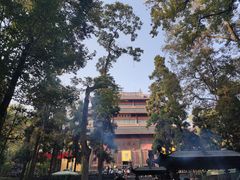 -灵隐飞来峰景区