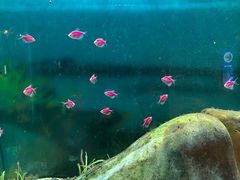 -海合安武汉极地海洋公园