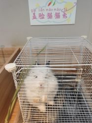-Moni星球萌宠·小马宝莉·灵蛇·高端高阶全萌宠互动体验俱乐部(红豆国际广场店)
