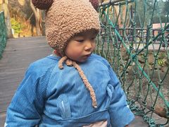 -宁波五龙潭景区