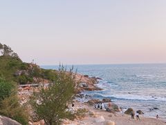 -广东惠东海龟国家级自然保护区