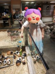 -造物庄园 萌宠纪(苏州湾歌林公园店)