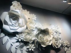 -杨丹国际美学肌研所