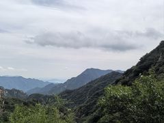 -大岭沟猕猴桃谷风景区