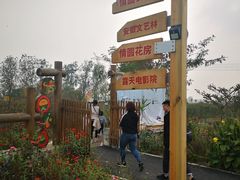 -悦宝园早教中心(庐阳区省直中心店)