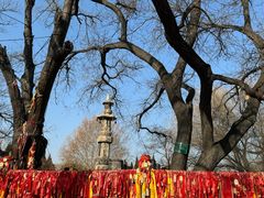 -大槐树寻根祭祖园