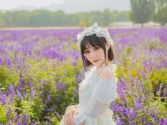 -北京东方普罗旺斯薰衣草庄园