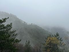 -四明山国家森林公园