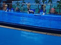 -石家庄极地海洋世界
