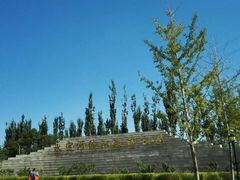 -永定河休闲森林公园