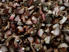 -柞水乾佑红门家菜