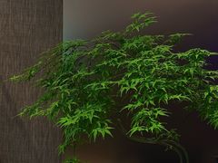 -水墨澜渟足道·SPA·传统(四望亭东关街店)