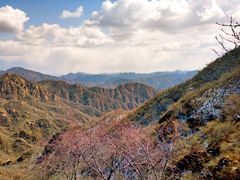 -大岭沟猕猴桃谷风景区