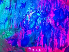 -上海外滩英迪格酒店