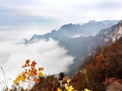 -尧山风景区