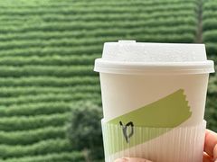 -白茶原·一片叶子